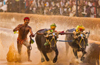 Kambala, Jallikattu may make a comeback